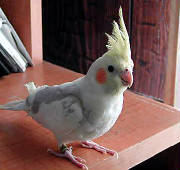 dscn0028_edited.jpg