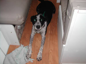 dscn0245.jpg