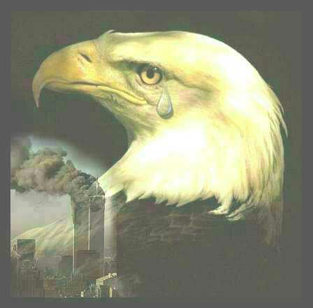 eagle_wtc.jpg